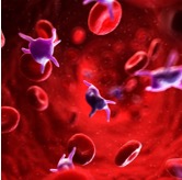 Hematological Disorder