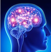 Neurological Disorders